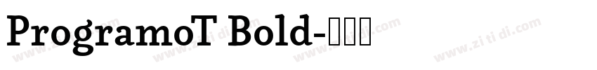 ProgramoT Bold字体转换 ProgramoT Bold字体转换